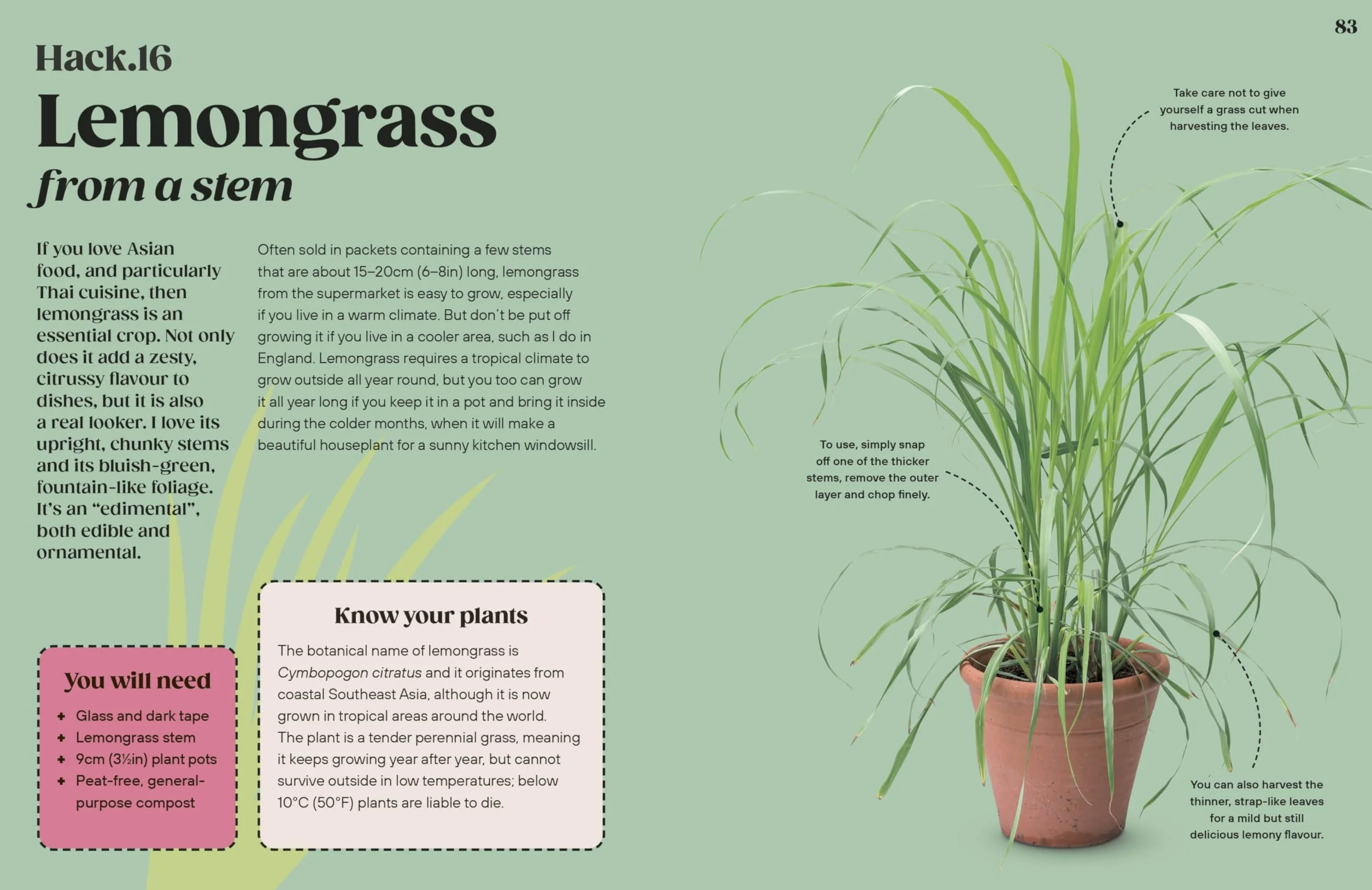Grow Your Groceries: 40 Hacks for Growing Plants from Your Weekly Shop: A SUNDAY TIMES BESTSELLER