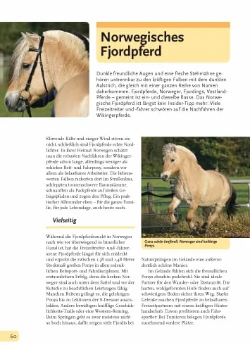 Alles über Ponys: Rassen, Haltung und Pflege, Reiten und Fahren