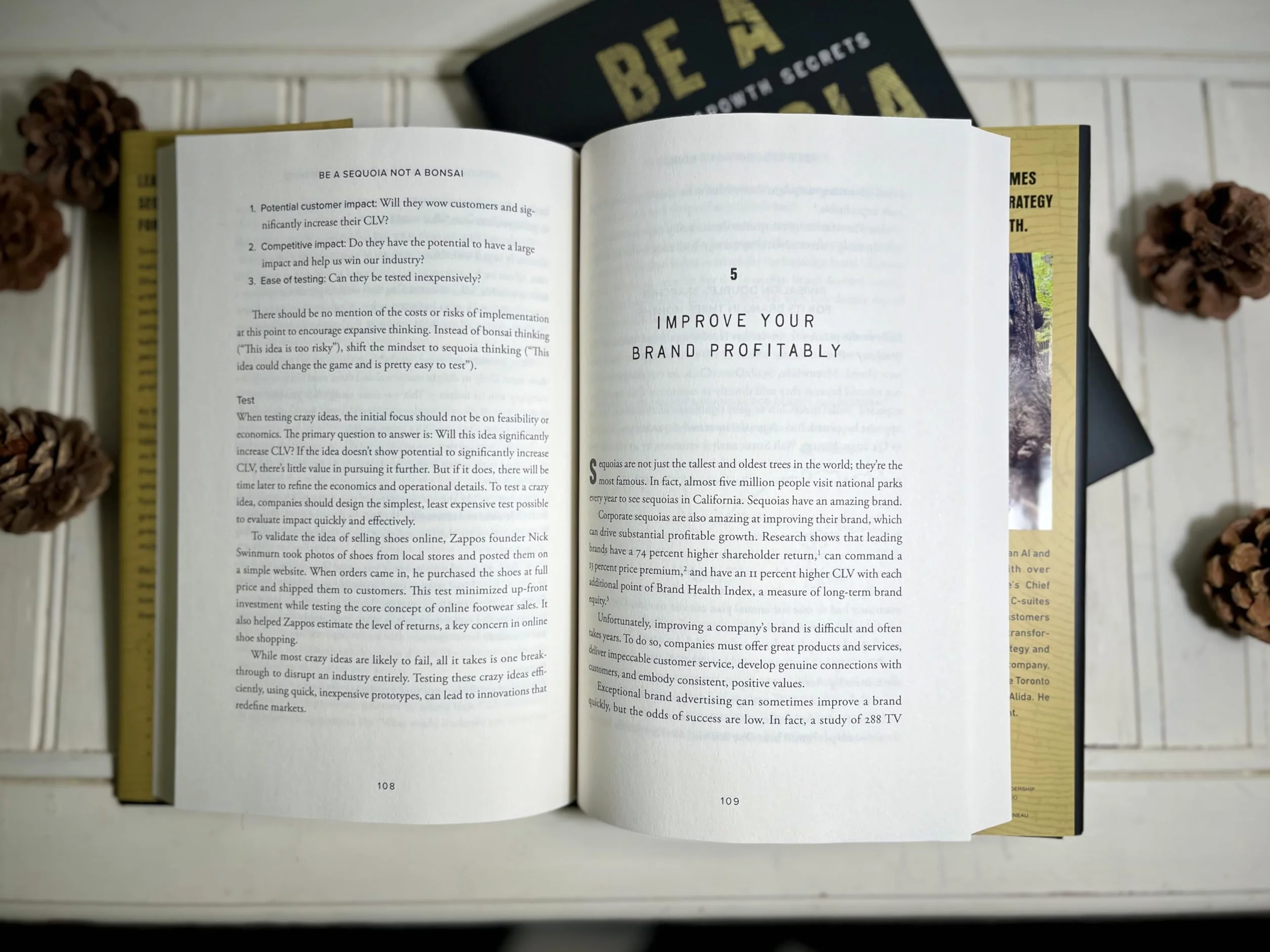 Be a Sequoia, Not a Bonsai: The Seven Growth Secrets of the World's Most Successful Companies