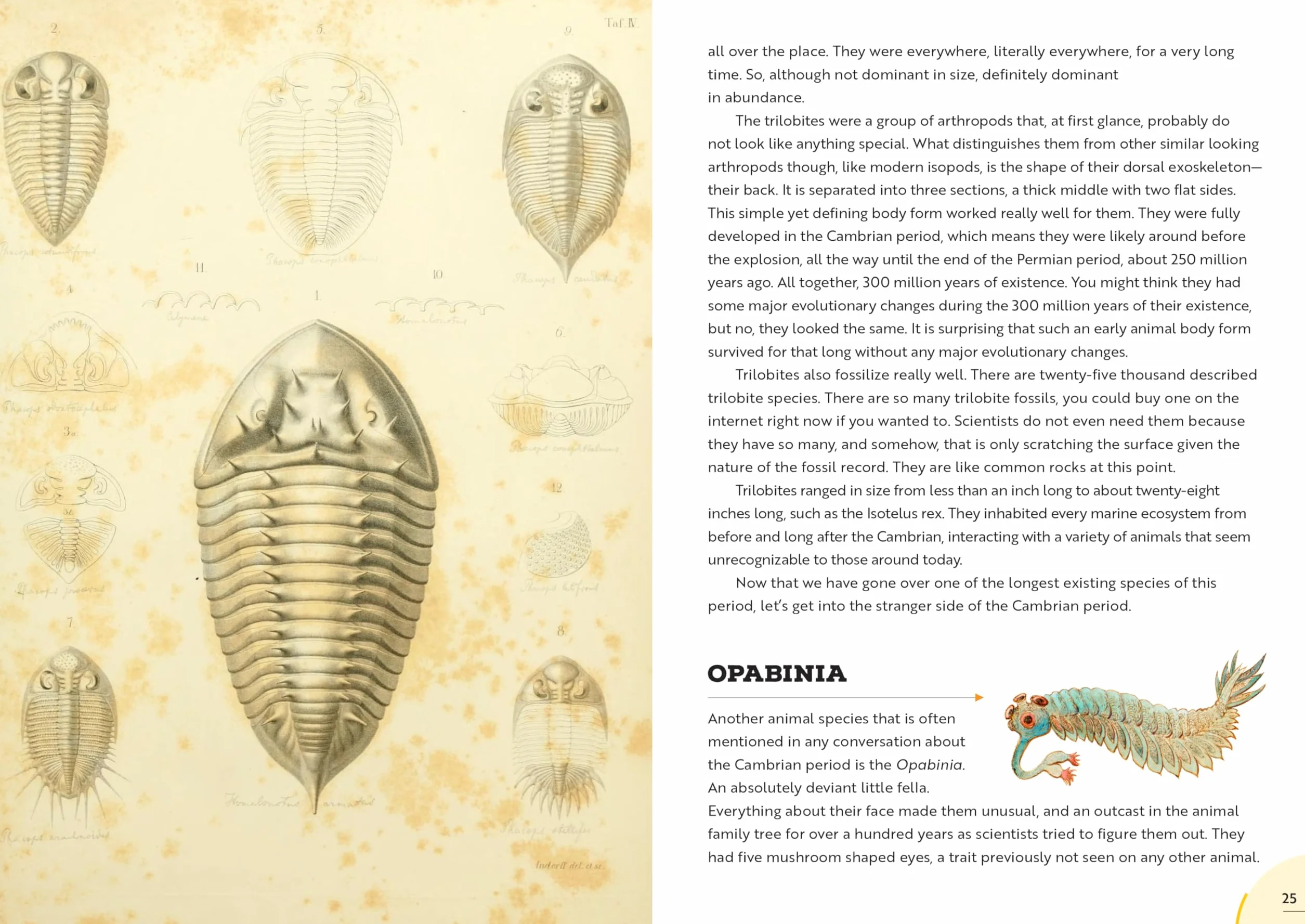 Epic Earth: A Wild Ride Through the History of Life on Our Planet
