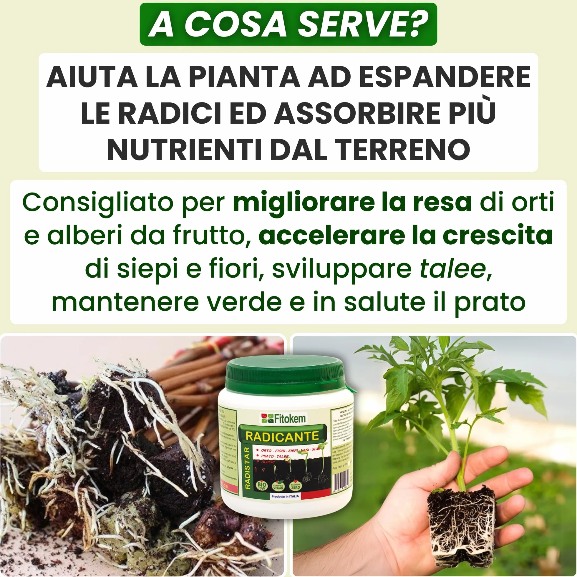 FITOKEM Radistar - Hormon sadzenia w proszku (400 gr) Organiczny proszek do korzeni mikoryzy, stymuluje produkcję i naturalny wzrost korzeni, wyprodukowany we Włoszech