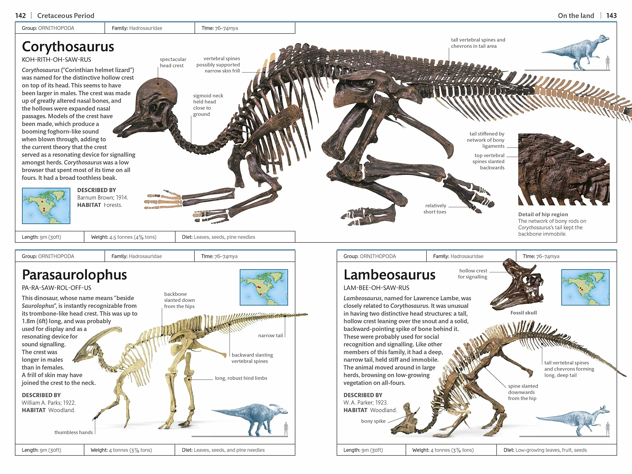 Dinosaurs and Other Prehistoric Life (DK Handbooks)