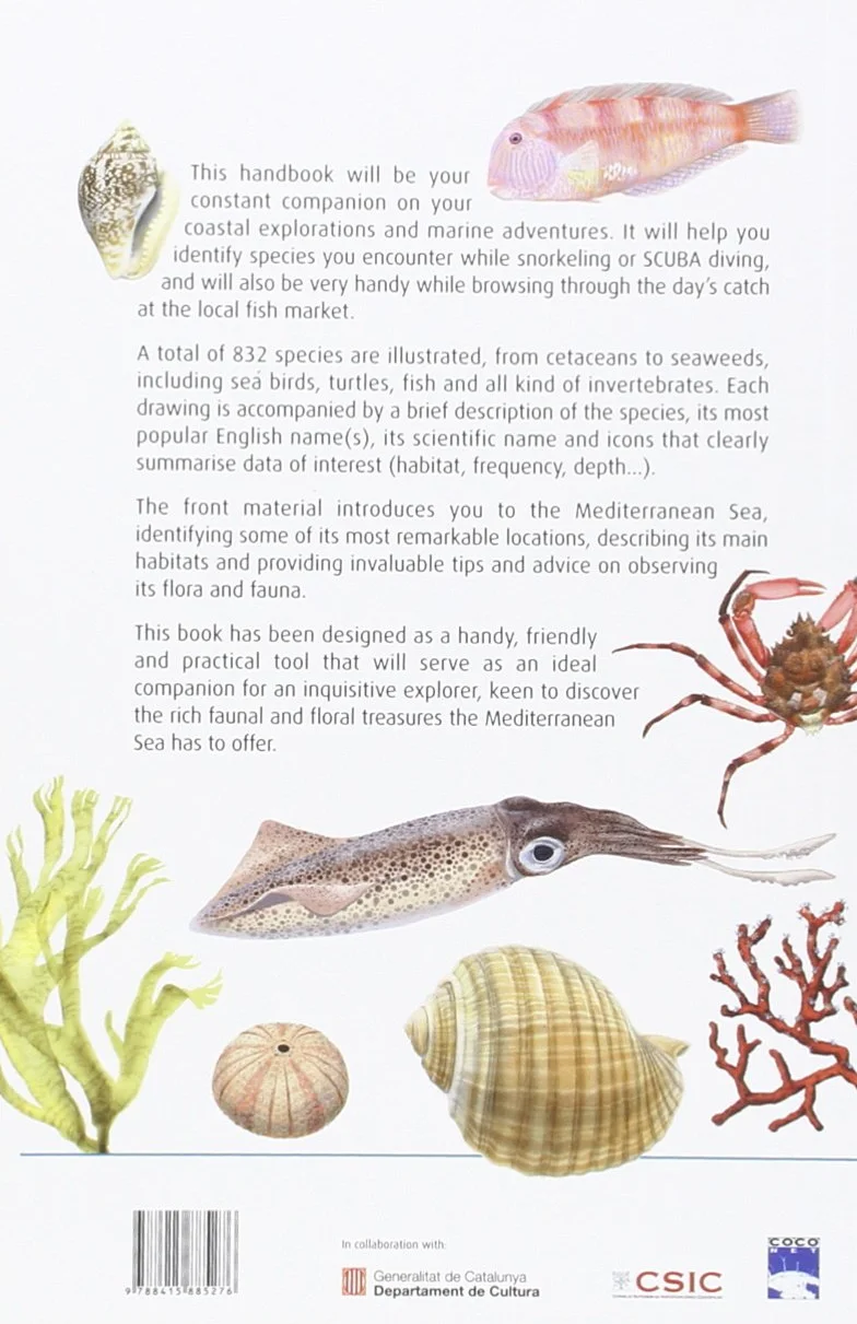 Marine Wildlife of the Mediterranean
