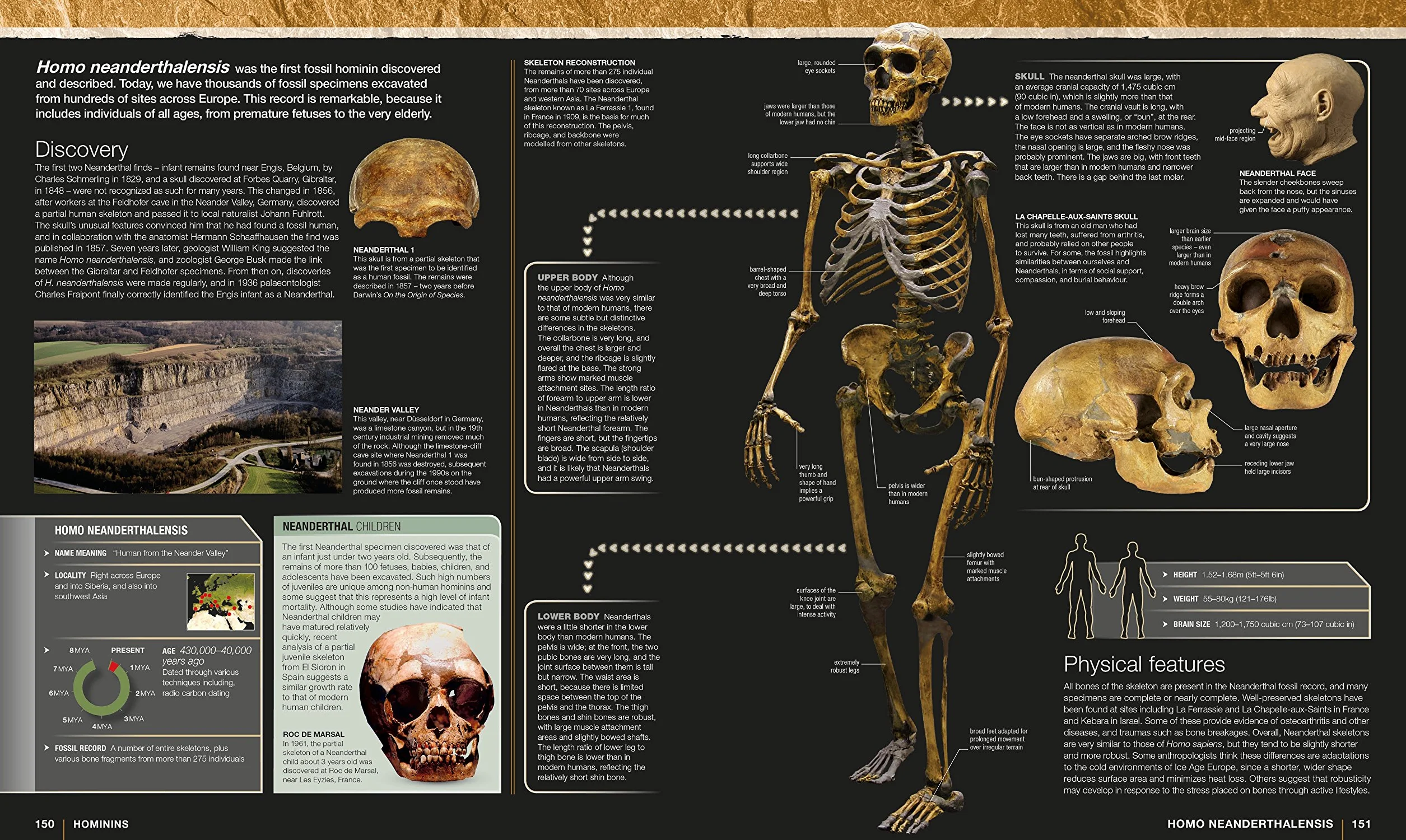 Evolution: The Human Story