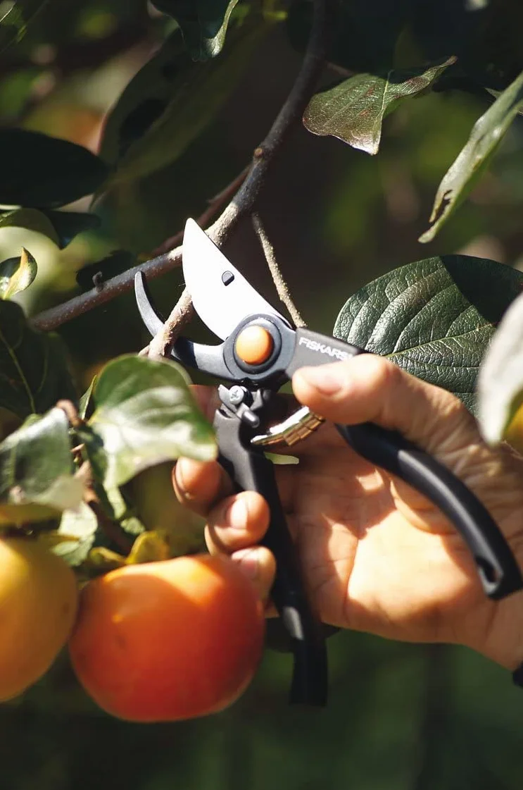 Fiskars Xseries Sekator, Czarny, 23 x 7 x 2 cm