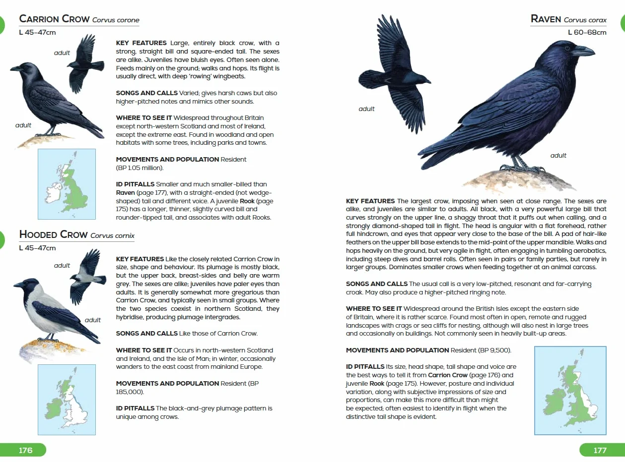 RSPB Pocket Guide to British Birds