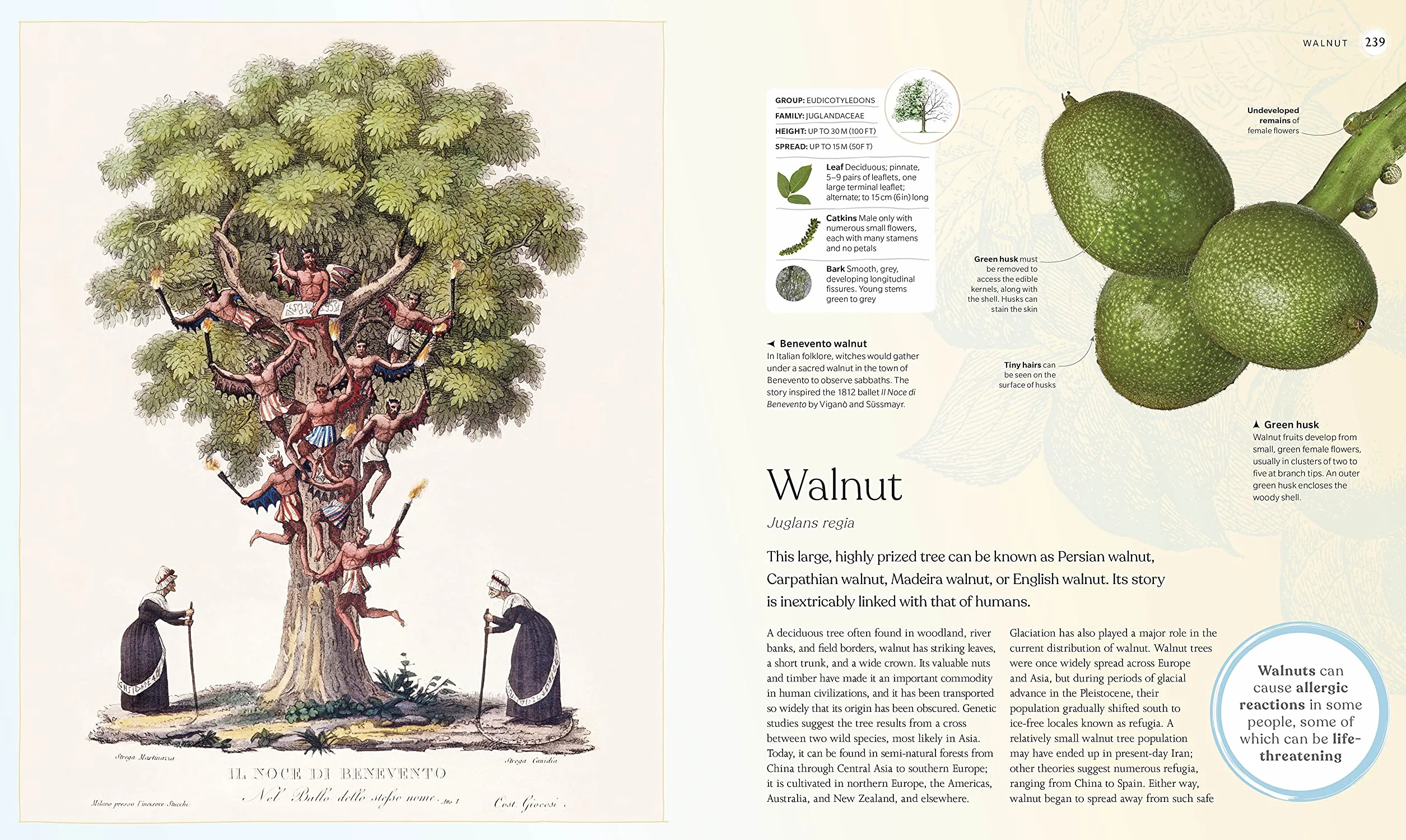 The Tree Book: The Stories, Science, and History of Trees