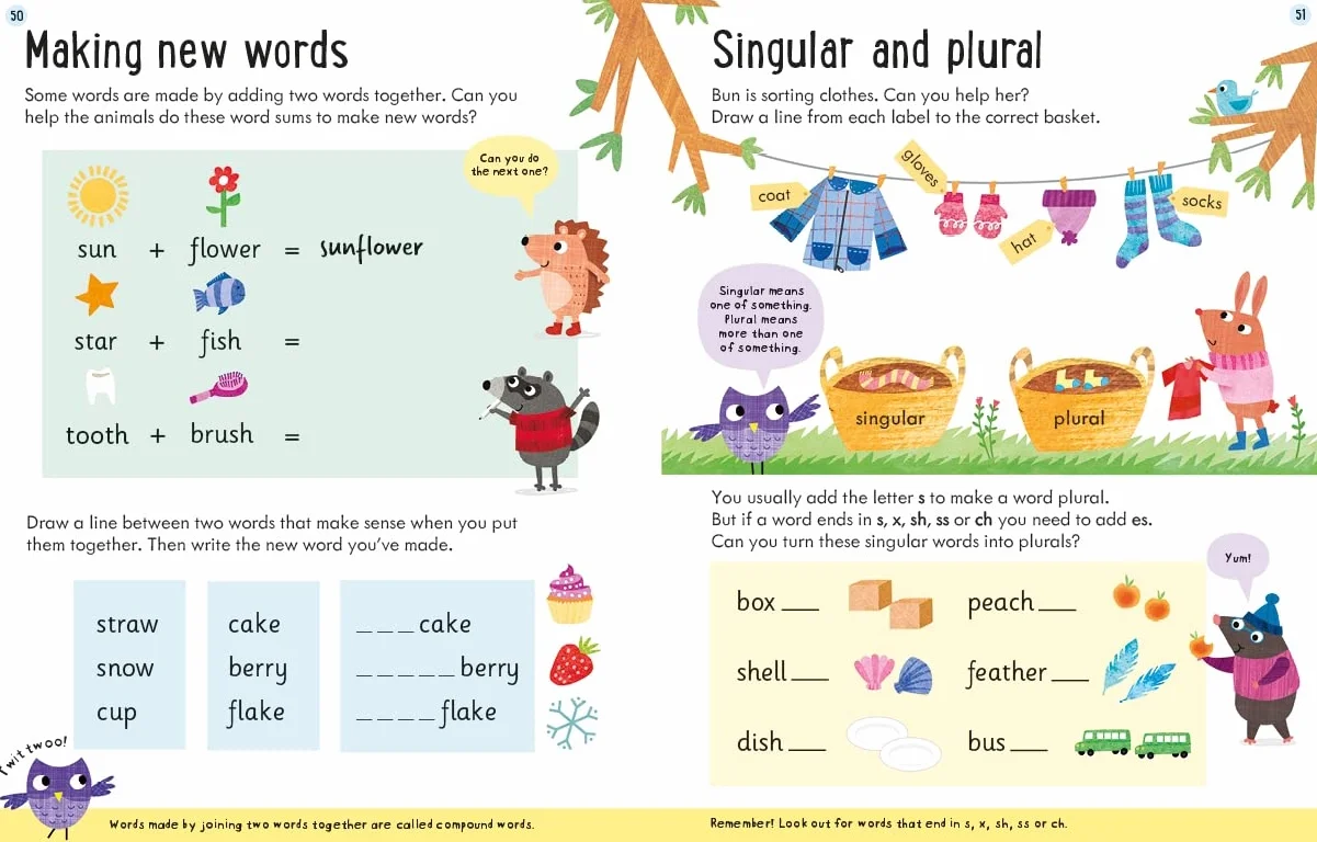 Usborne English and Maths Giant Workbook 5-6 (Usborne Workbooks)