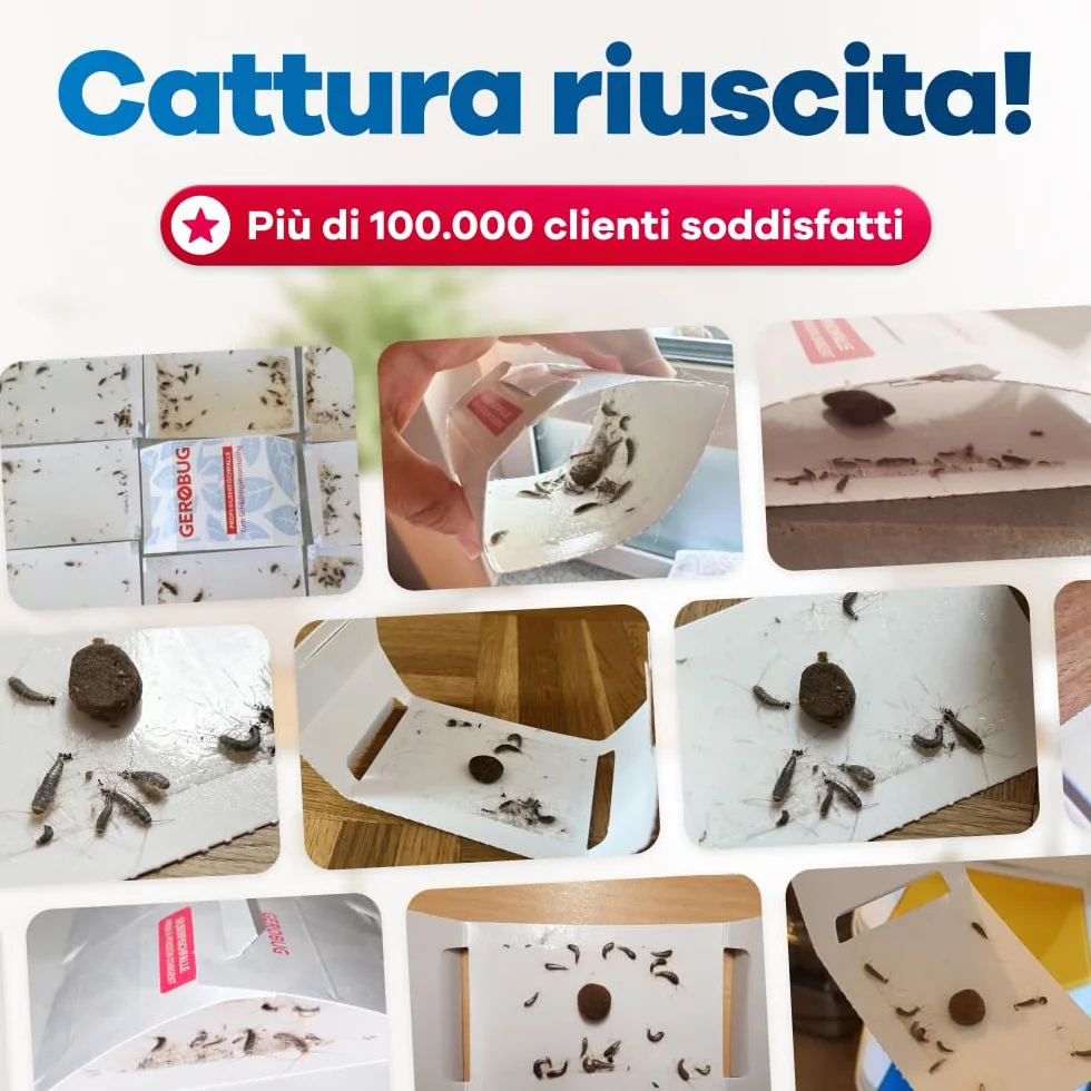 Gerobug pułapka na rybiki, 12 sztuk, pułapka na klej z nietoksycznym środkiem wabiącym do zwalczania szkodników we wszystkich pomieszczeniach mieszkalnych, bardzo mocna pułapka na rybiki
