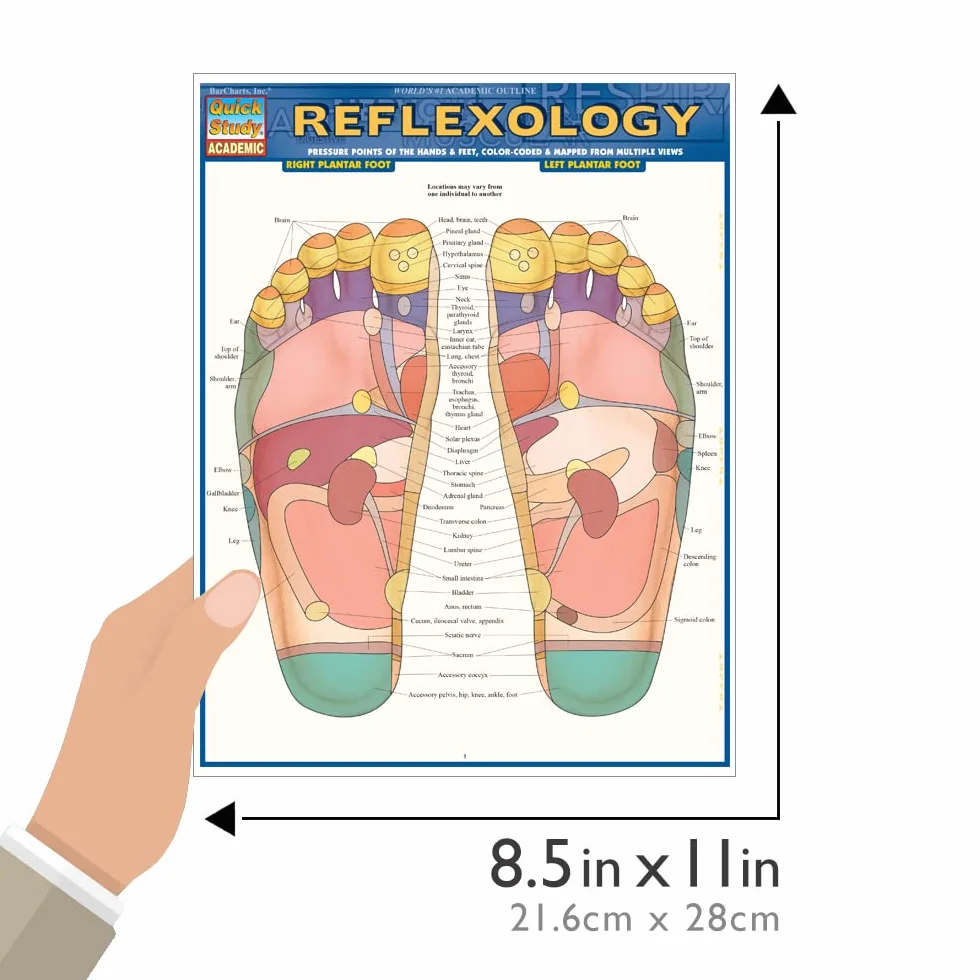 Reflexology: Pressure Points of the Hands & Feet, Color-coded & Mapped from Multiple Views