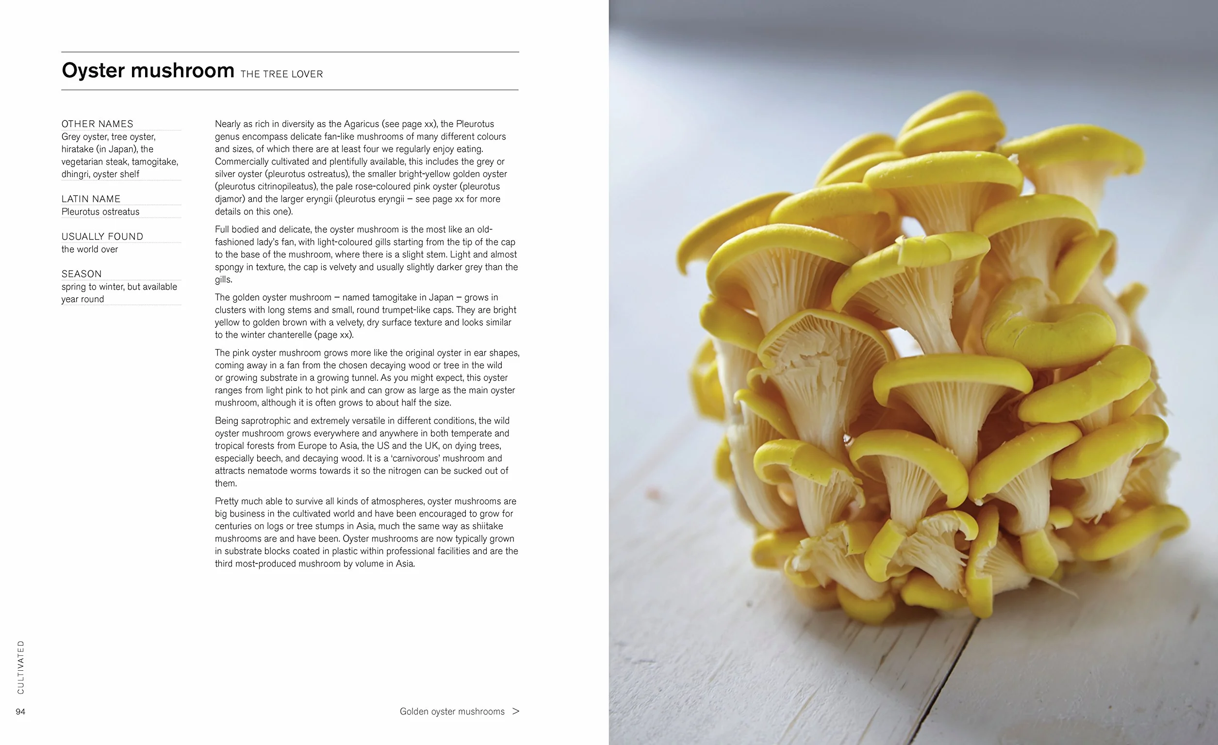 The Mushroom Cookbook: A Guide to Edible Wild and Cultivated Mushrooms - And Delicious Seasonal Recipes to Cook with Them