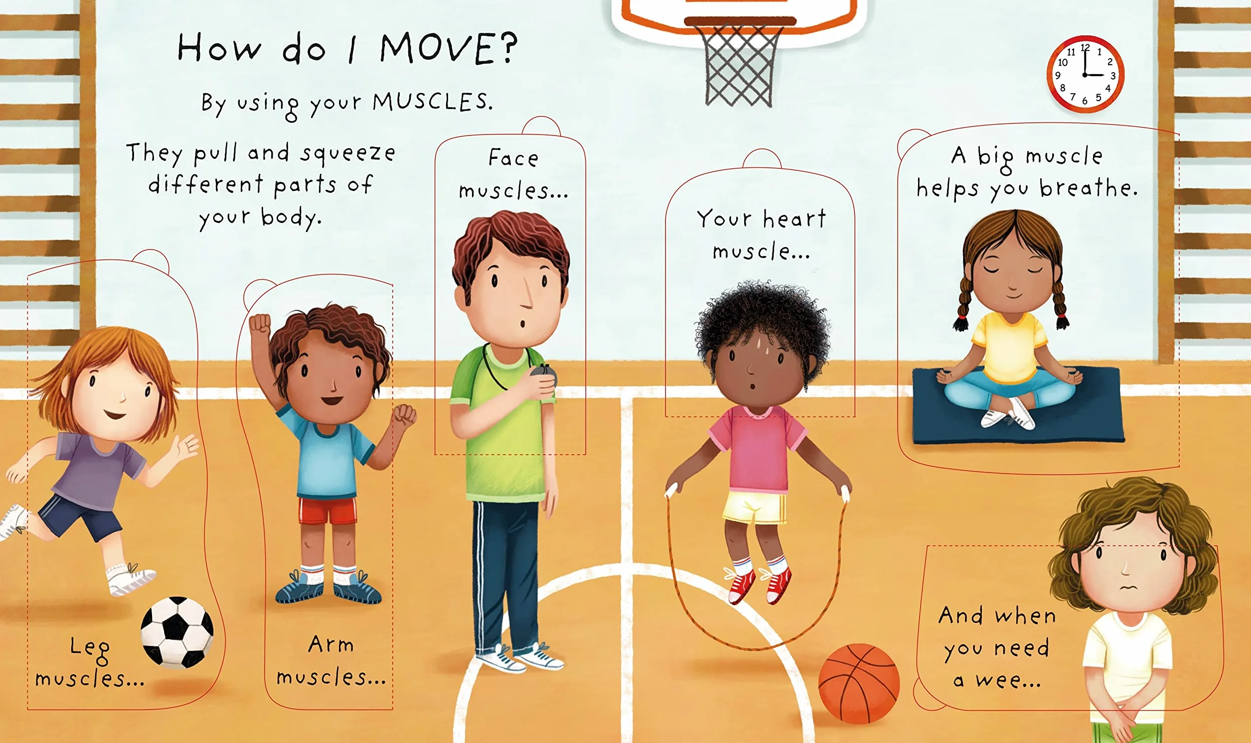 Very First Questions and Answers What's Inside Me?: Lift-the-flap