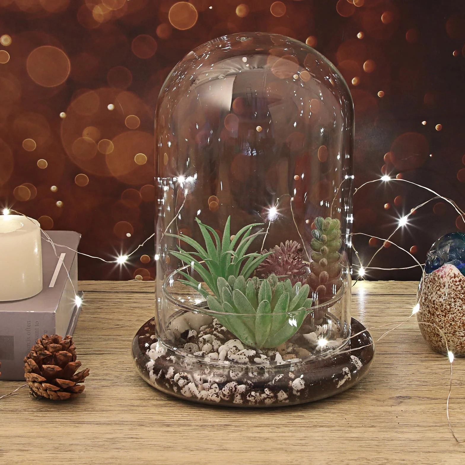 Mini terrarium na rośliny, szklana doniczka na sukulenty, przezroczysta szklana kopuła z otworem wentylacyjnym 3 mm, dekoracyjny szklany dzwonek ze szklanym dnem, dekoracja stołu, prezent do