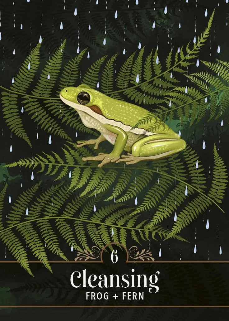 The Familiar Magic Pocket Oracle: A 44-Card Deck and Guidebook