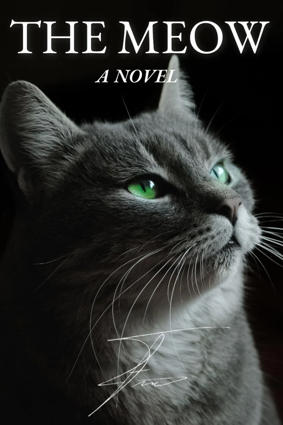 The Meow: A Book for Cats – 100 Pages of Fun | The Perfect Gift for Cat Lovers and cats | The best Novel for your cat