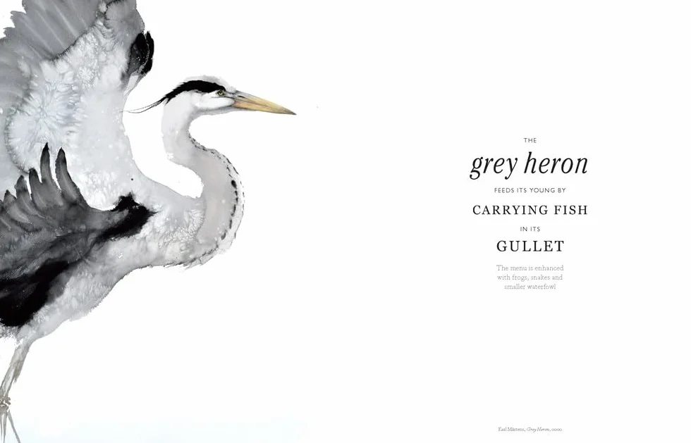 The Book of the Bird: Birds in Art