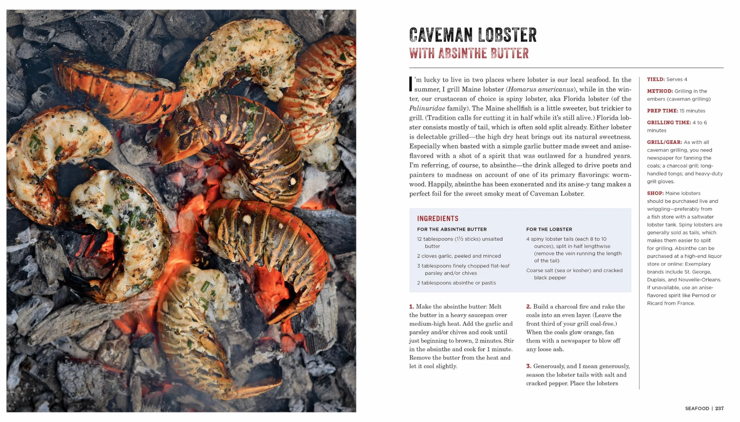 Project Fire: Cutting-Edge Techniques and Sizzling Recipes from the Caveman Porterhouse to Salt Slab Brownie s'Mores