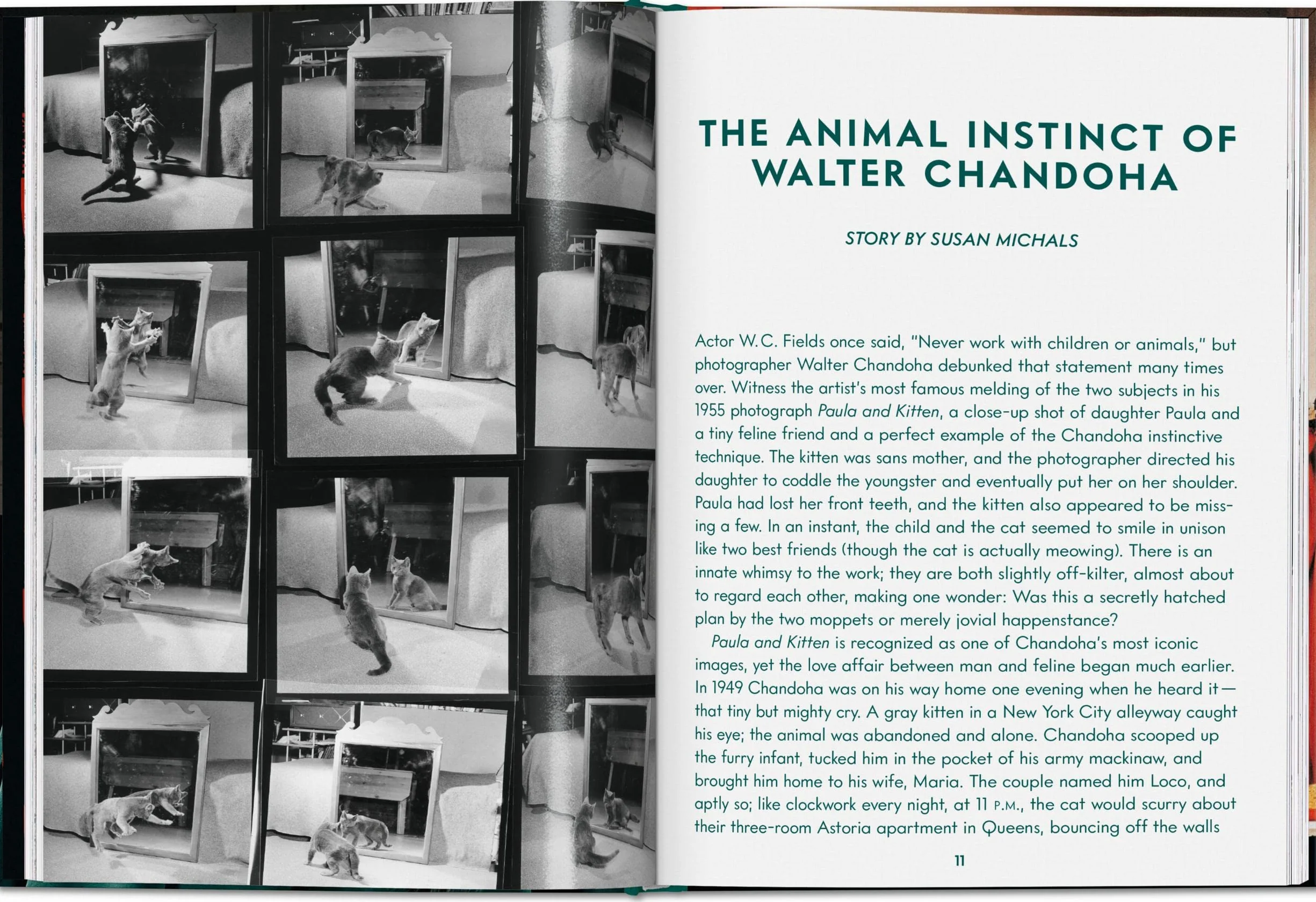 Walter Chandoha. Cats. Photographs 1942-2018