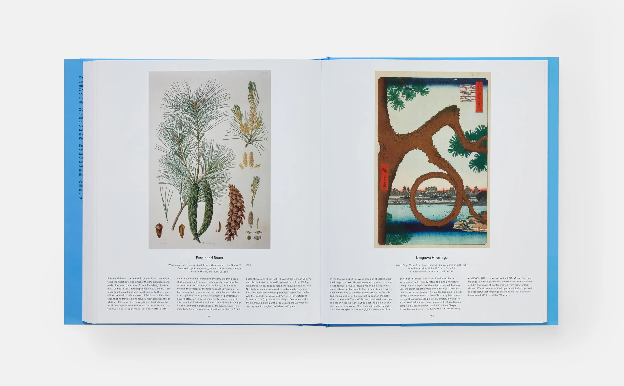 Tree: Exploring the Arboreal World