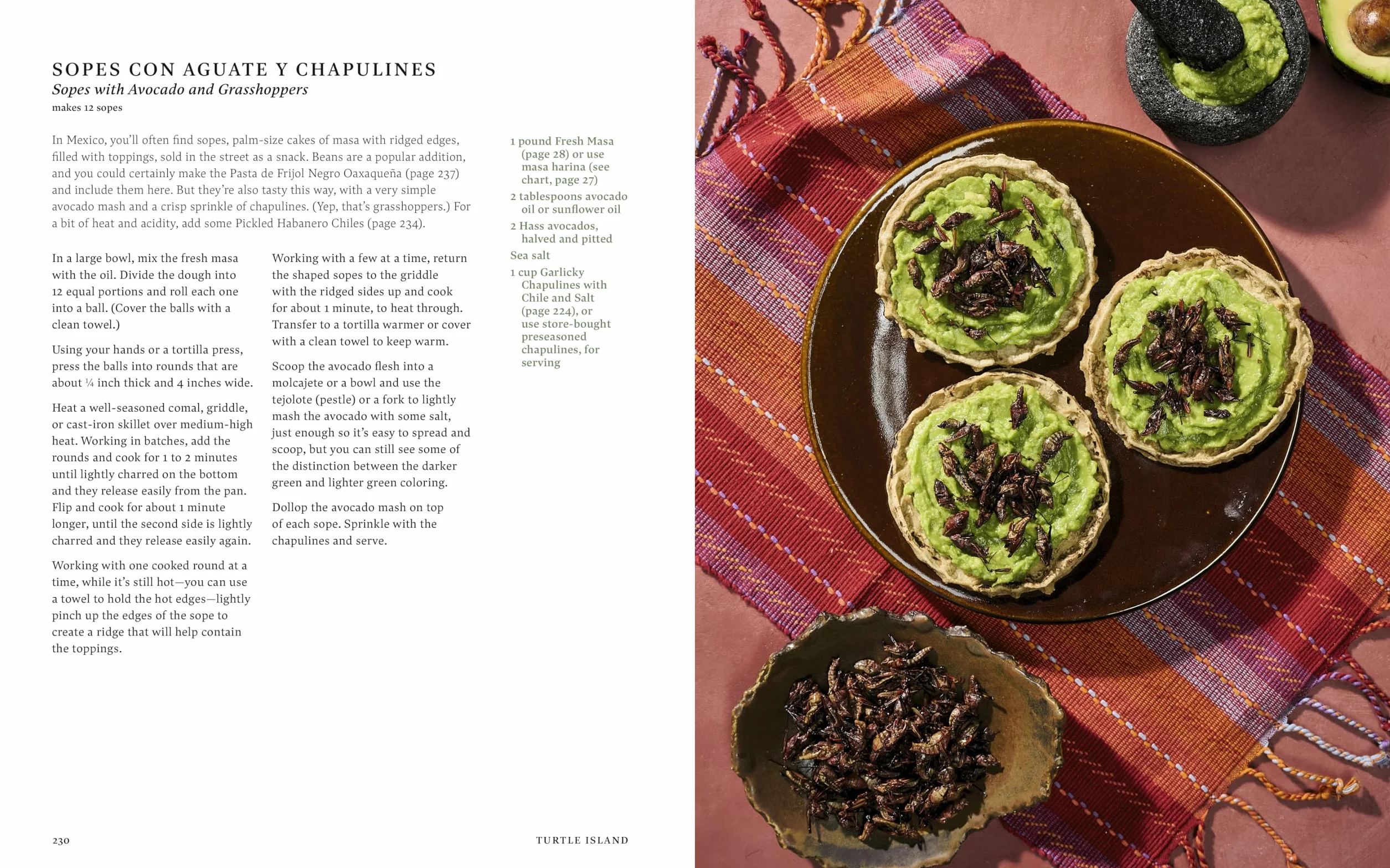 Turtle Island: Foods and Traditions of the Indigenous Peoples of North America