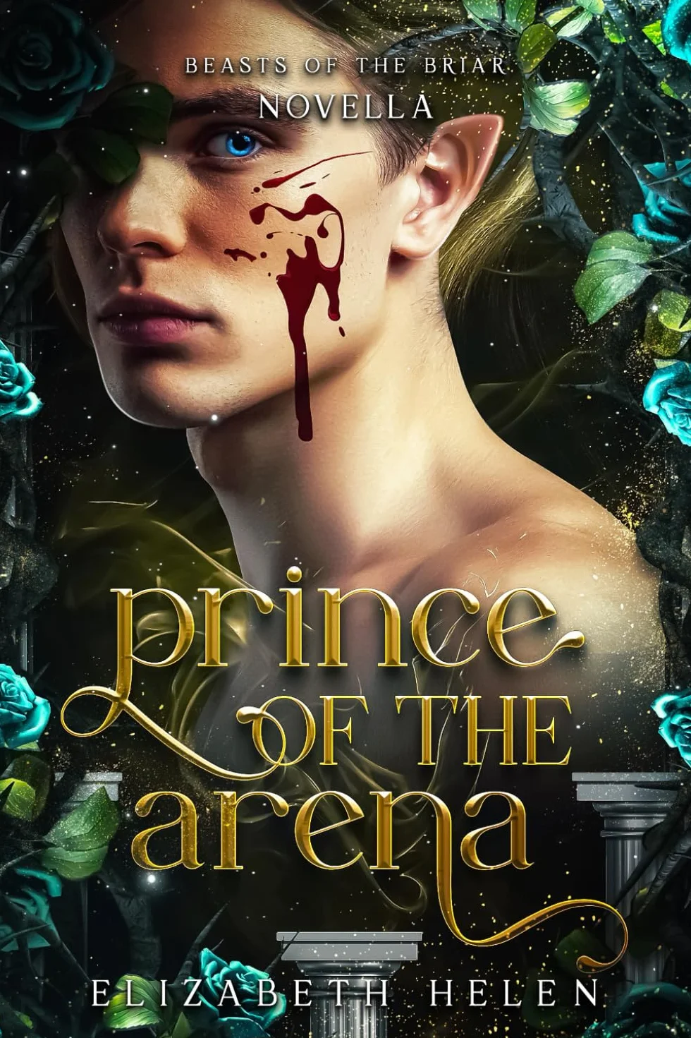 Prince of the Arena: A Beasts of the Briar Prequel Novella