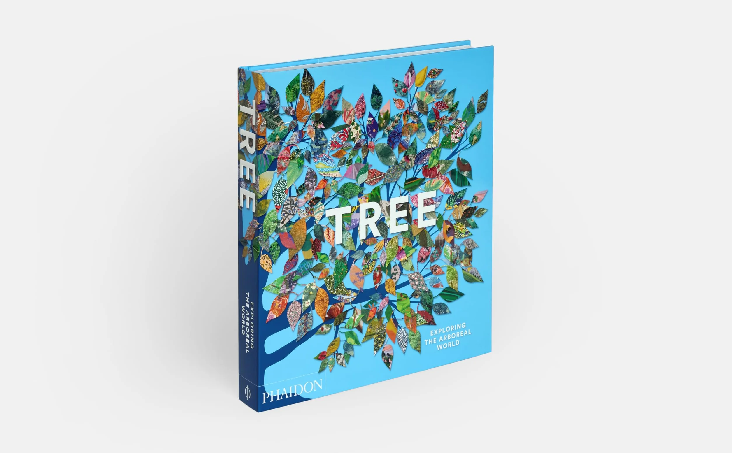Tree: Exploring the Arboreal World