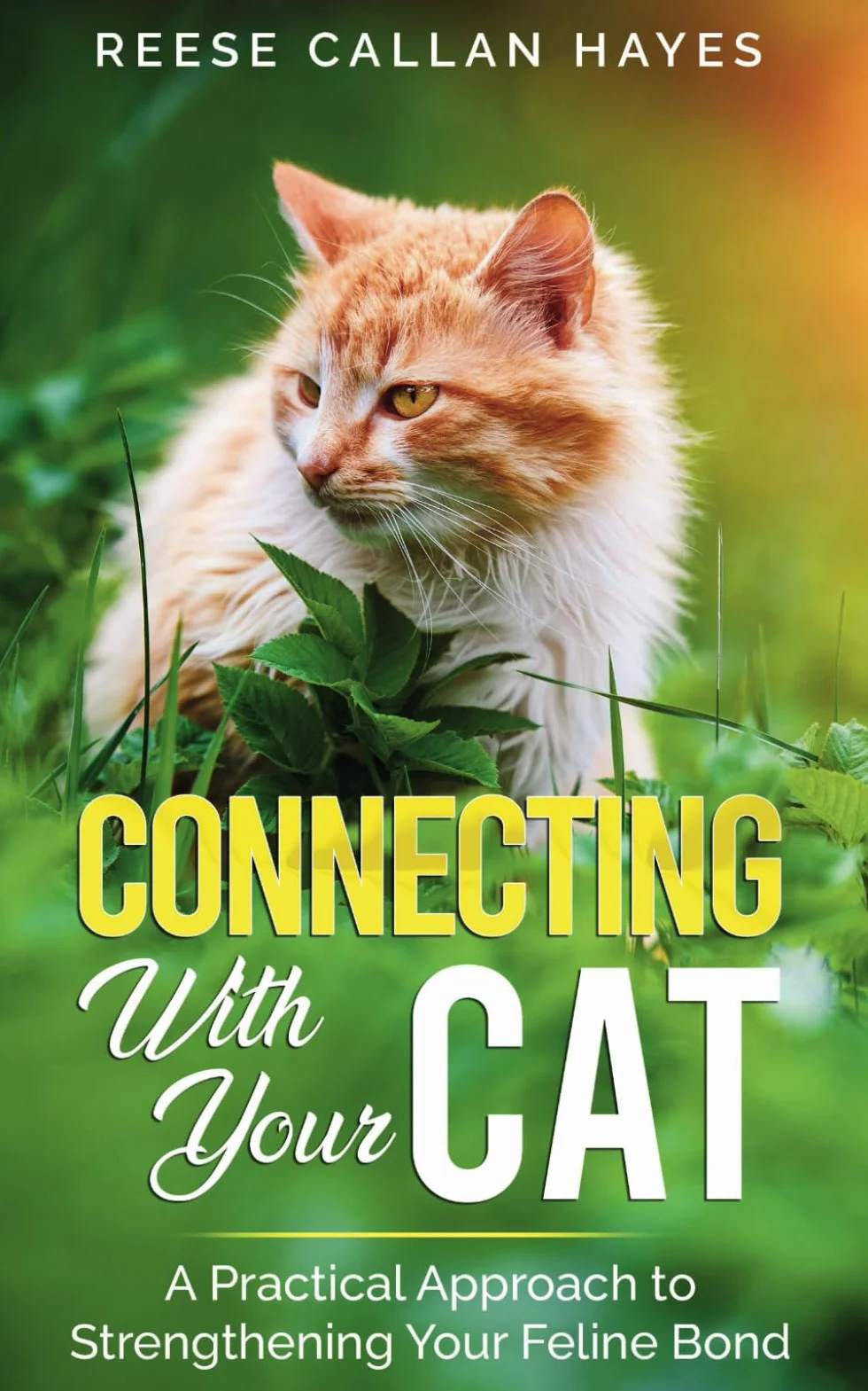 Connecting With Your Cat: A Practical Approach to Strengthening Your Feline Bond and Understanding Cat Behavior