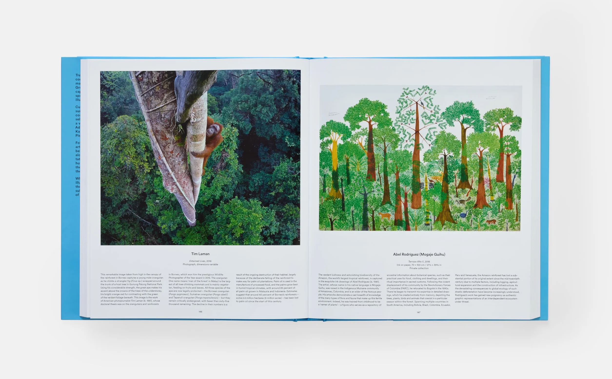 Tree: Exploring the Arboreal World