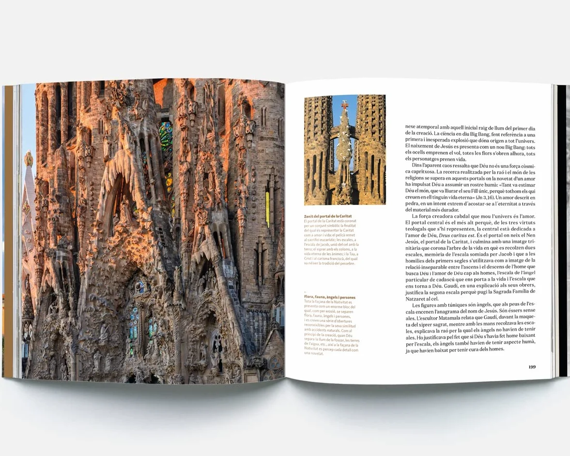 The Sagrada Família: The Cathedral of light
