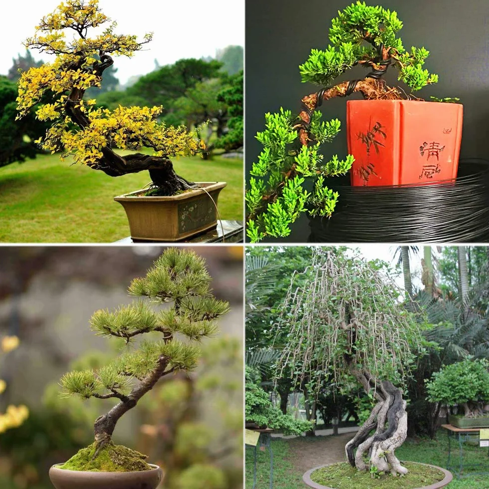 Druty treningowe do drzewa bonsai, 3 rozmiary, 1 mm, 1,5 mm, 2 mm, aluminiowy drut treningowy, bonsai, czarny drut ogrodowy do kształtowania drzewa bonsai