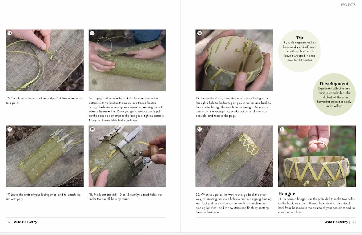 Wild Basketry: Making baskets and natural cordage from foraged plants