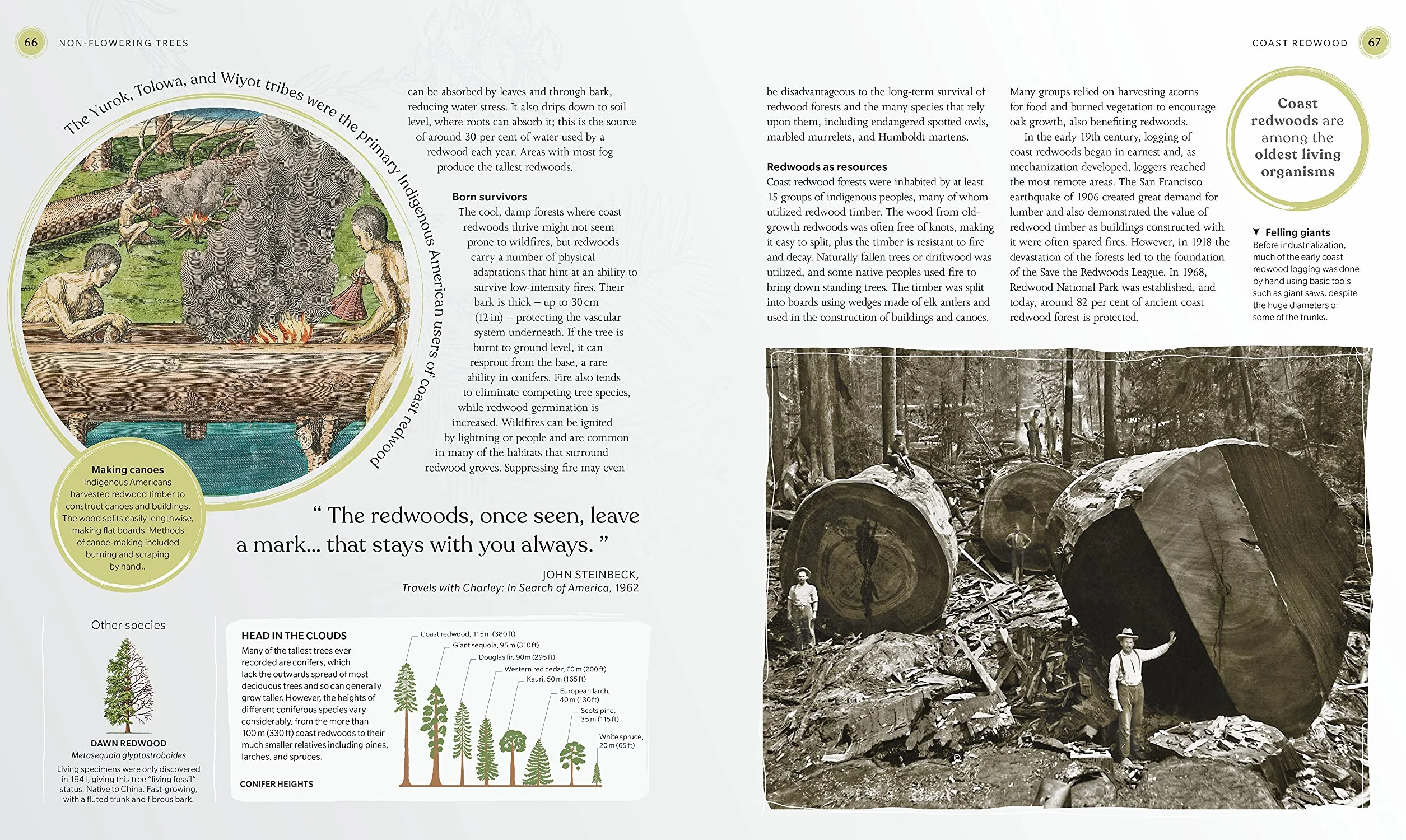 The Tree Book: The Stories, Science, and History of Trees