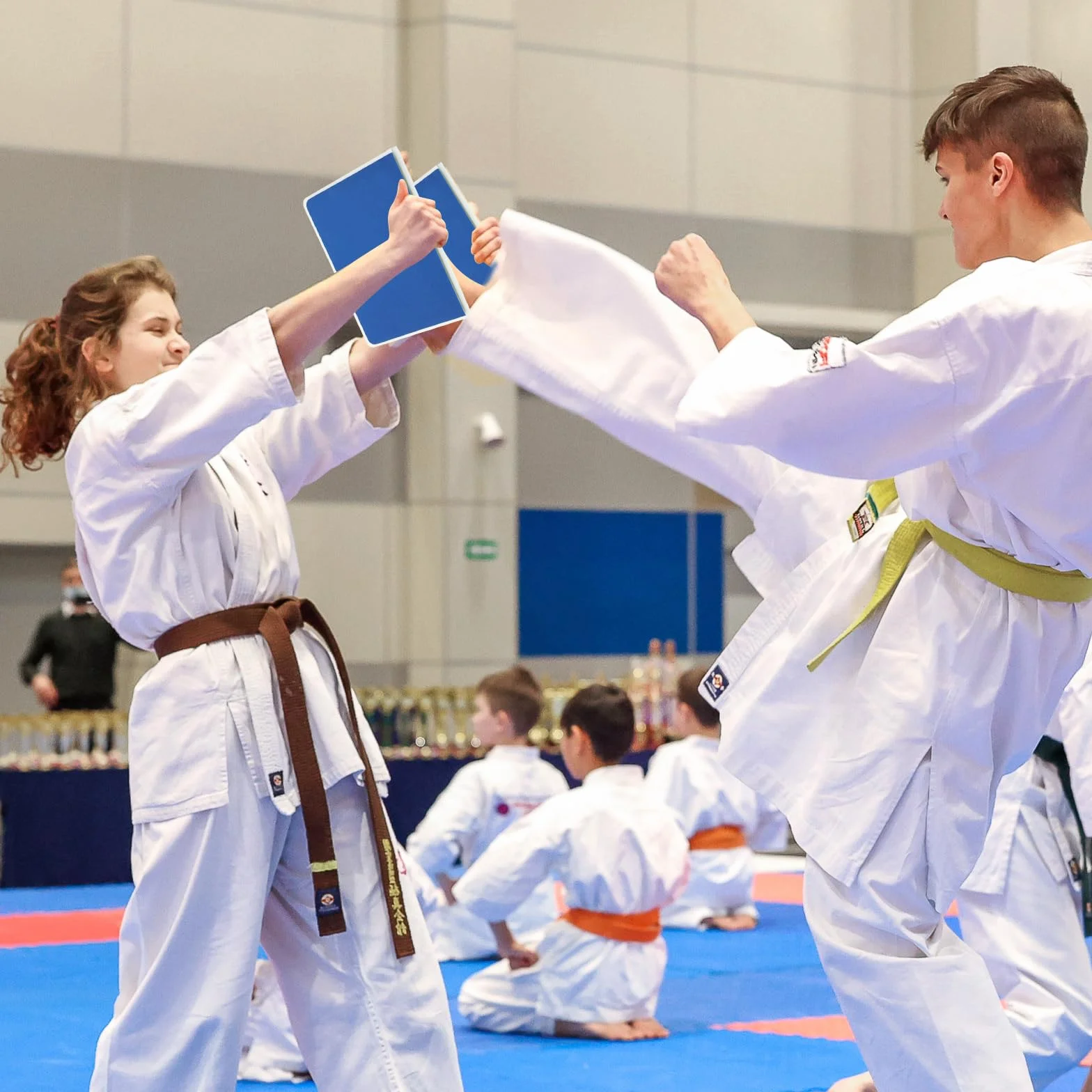 SHUESS 4 sztuki wielokrotnego użytku, plastikowe taekwondo deski do łamania, dostępne w 4 poziomach trudności, tablice treningowe Karate Mma Ninja do łamania