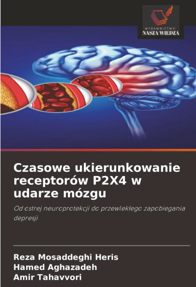 Czasowe ukierunkowanie receptorów P2X4 w udarze mózgu: Od ostrej neuroprotekcji do przewlek¿ego zapobiegania depresji