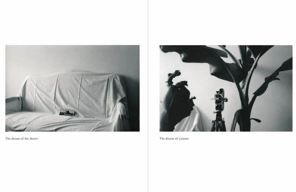 Hervé Guibert: The Only Face
