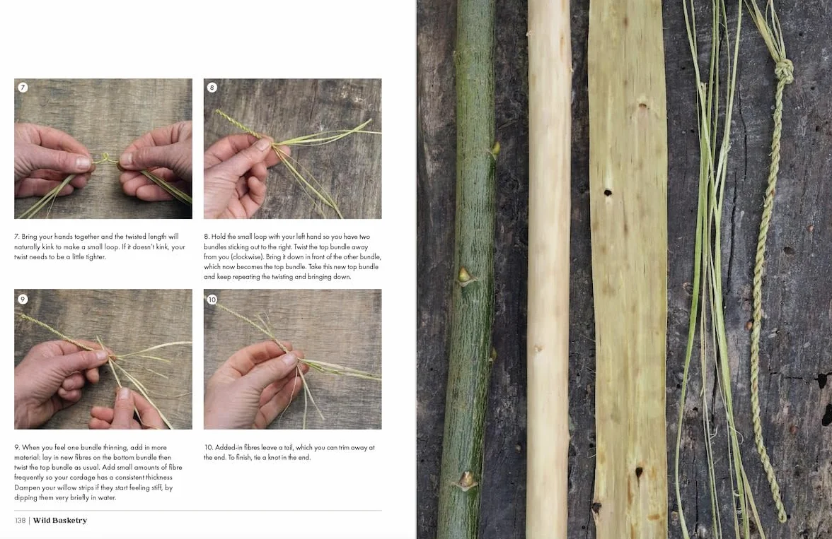 Wild Basketry: Making baskets and natural cordage from foraged plants