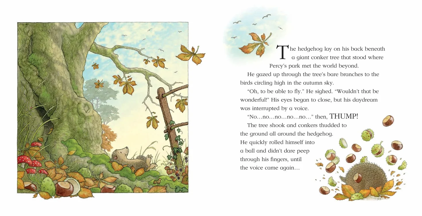 A Flying Visit: A funny illustrated picture book for children from the creator of One Snowy Night