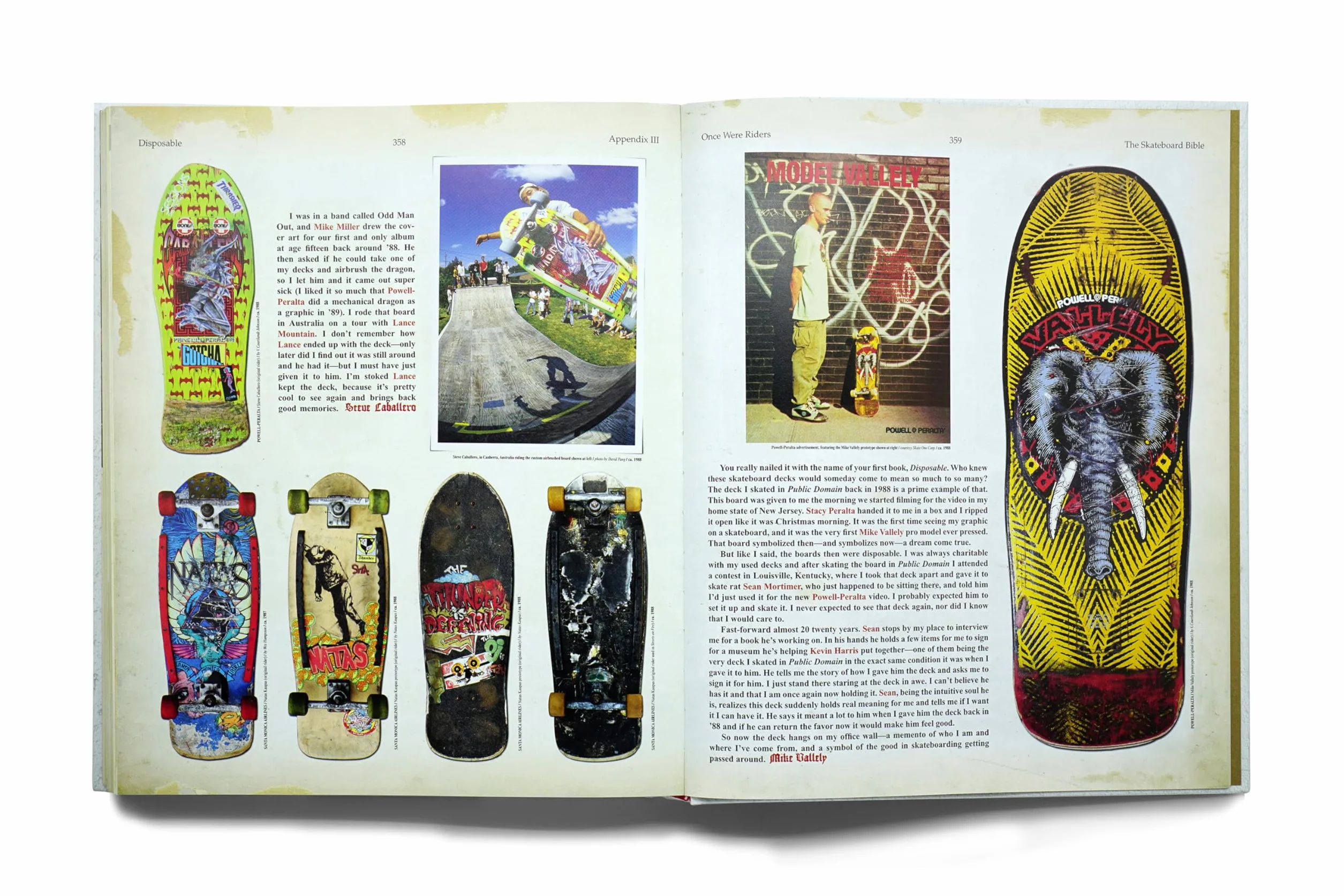The Disposable Skateboard Bible: By Sean Cliver