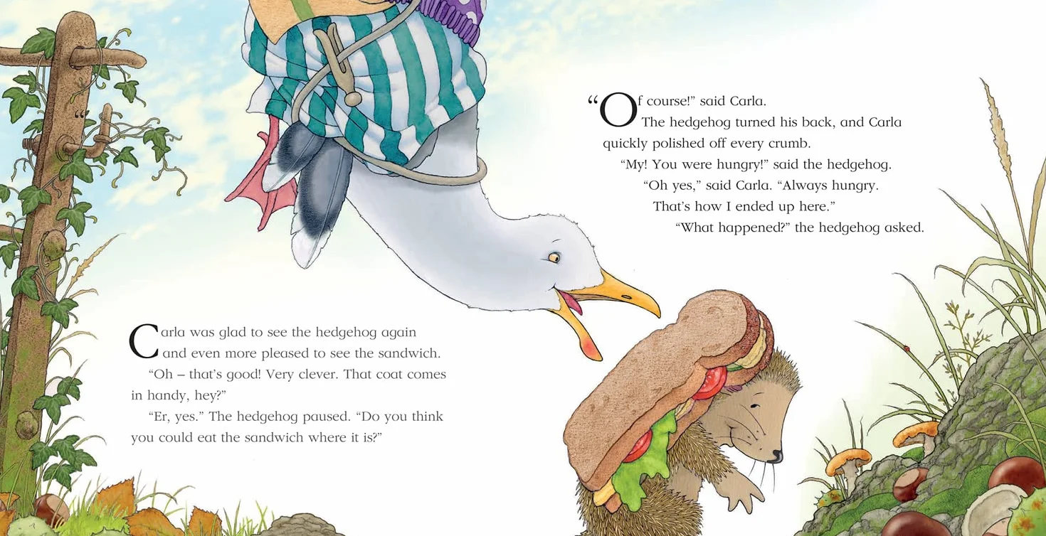 A Flying Visit: A funny illustrated picture book for children from the creator of One Snowy Night