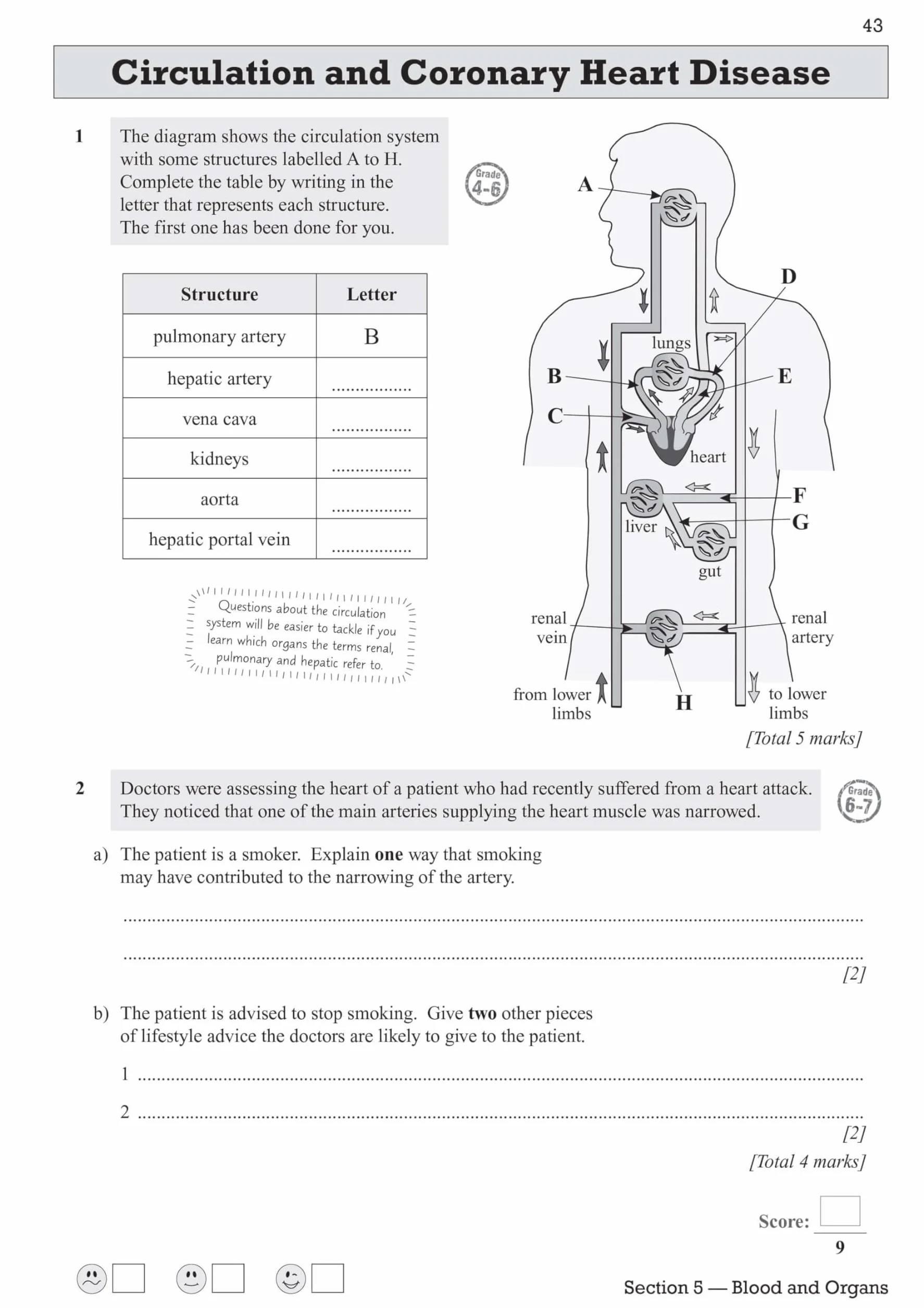 Edexcel International GCSE Biology Exam Practice Workbook (with Answers)