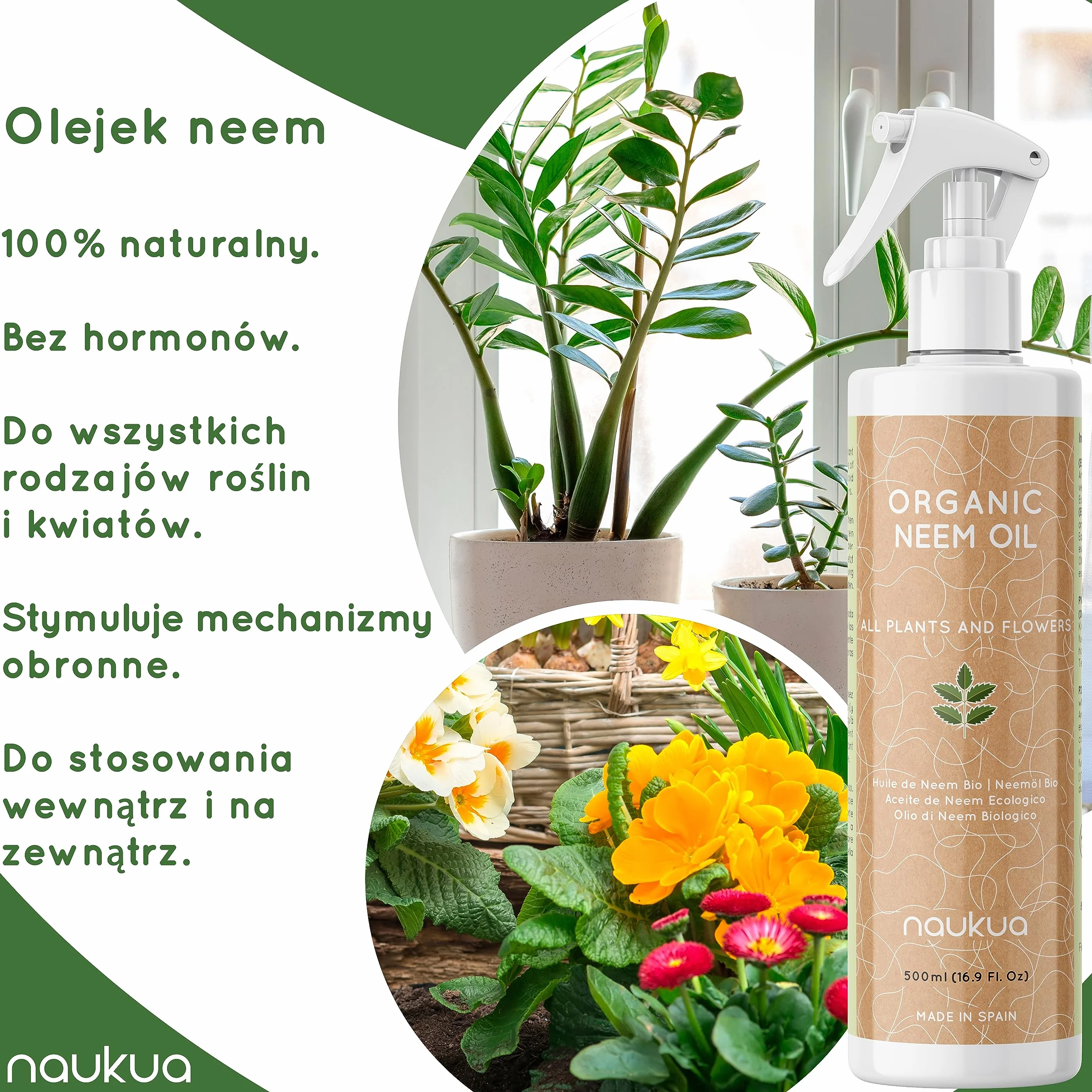 500ml Organiczny Olejek z Miodli Indyjskiej Do Roślin - 100% Naturalny i Nietoksyczny - Ochrona i Obrona Przed Wszystkimi Rodzajami Szkodników, Owadów i Chorób - Rośliny Wewnątrz i Na Zewnątrz - Gotowy Do Użycia Spray.