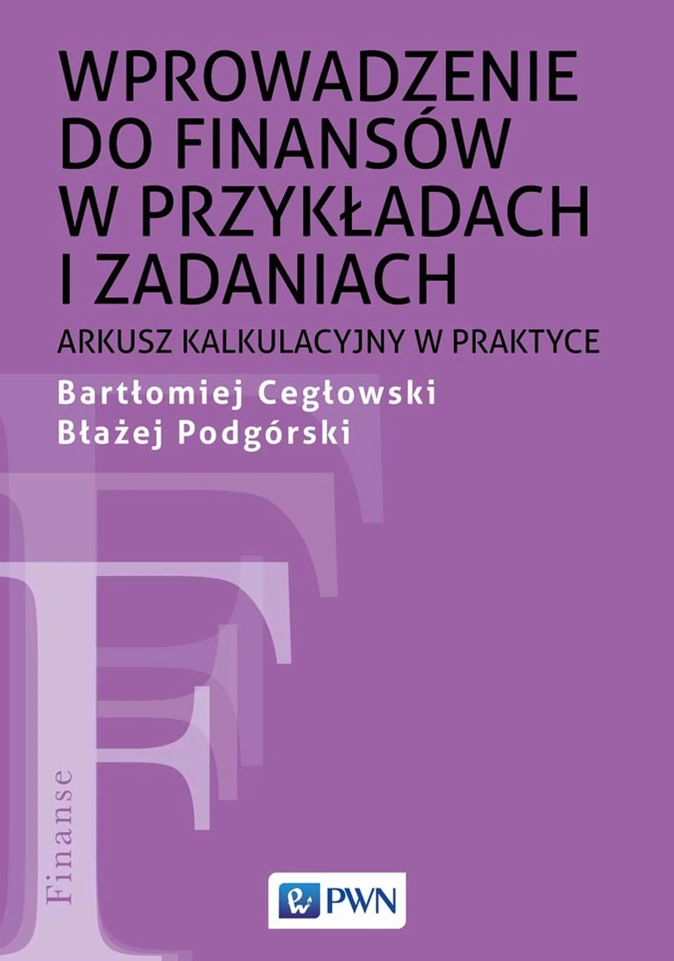 WPROWADZENIE DO FINANSÓW W PRZYKŁADACH I ZADANIACH: Arkusz kalkulacyjny w praktyce