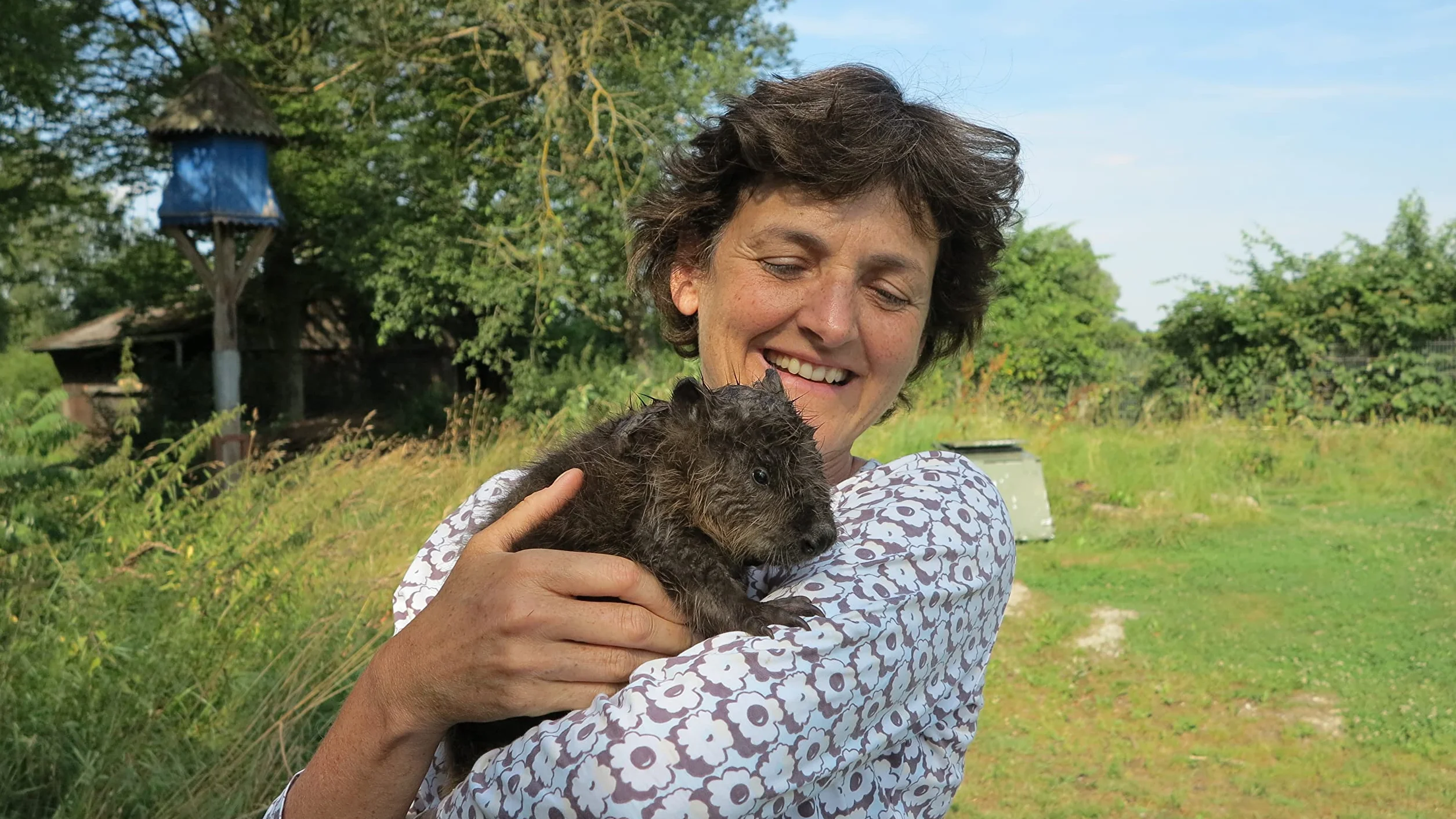 Wilding: How to Bring Wildlife Back - The New Illustrated Guide