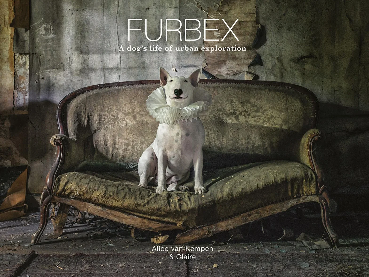 Furbex: A Dog’s Life of Urban Exploration