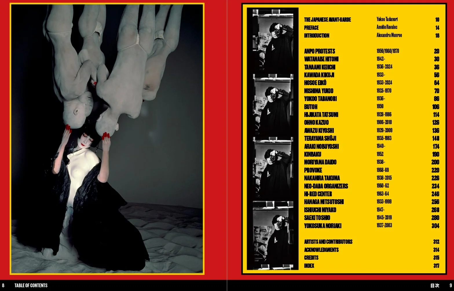 Japan Art Revolution: The Japanese Avant-Garde from Angura to Provoke /anglais