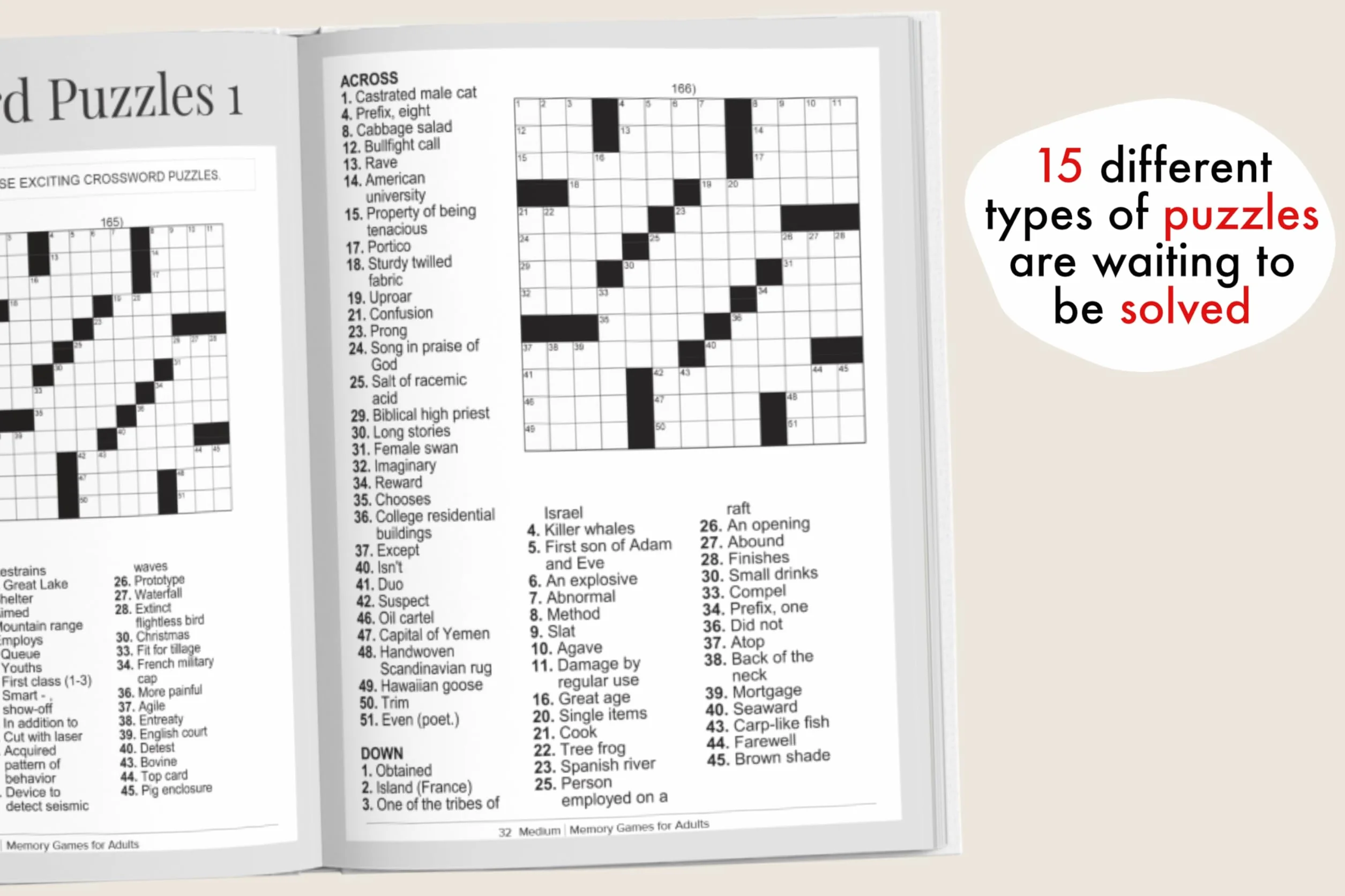 Memory Games for Adults: The XXL Puzzle Activity Book with 501 Exciting and Fun Brain Exercises to Increase Cognitive Abilities [The Smart Adult's Gift]