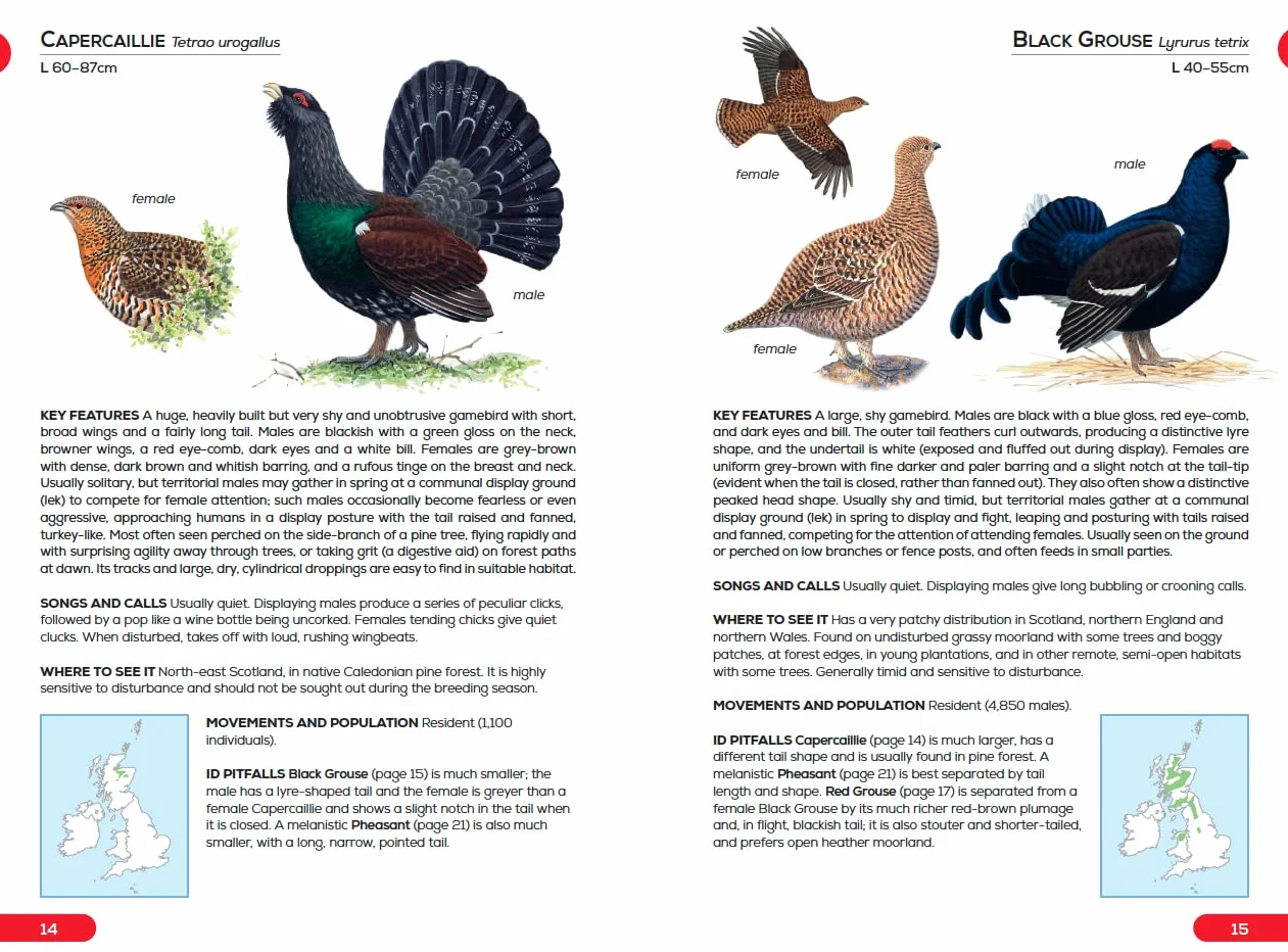 RSPB Pocket Guide to British Birds