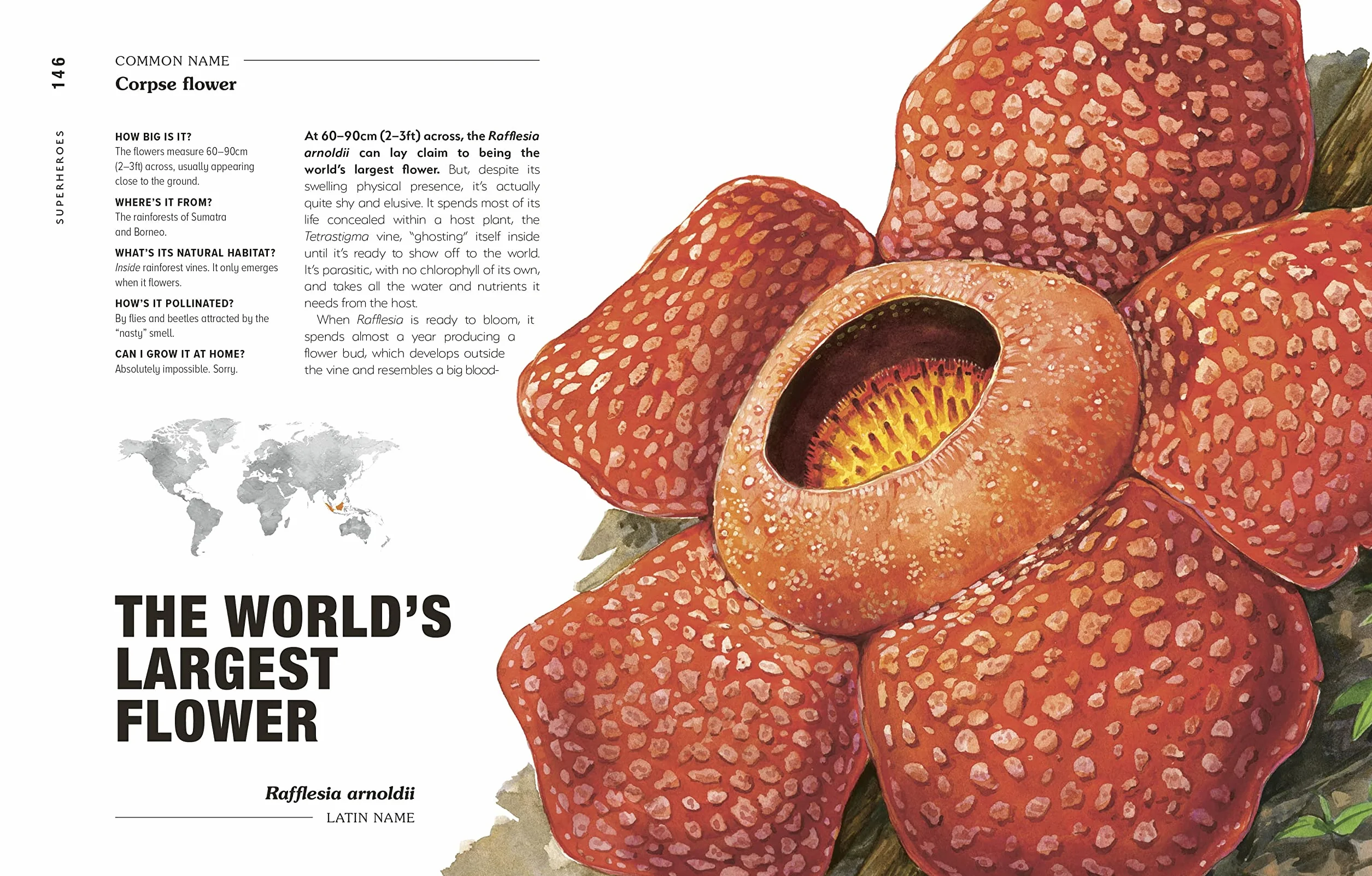 Hortus Curious: Discover the World's Most Weird and Wonderful Plants and Fungi