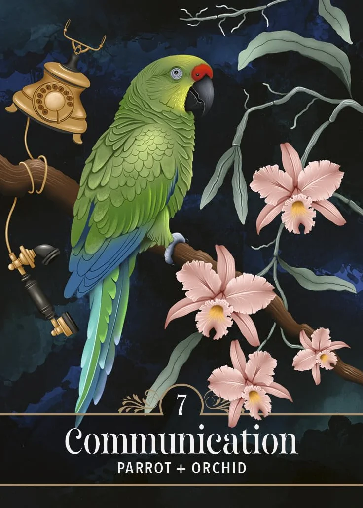 The Familiar Magic Pocket Oracle: A 44-Card Deck and Guidebook