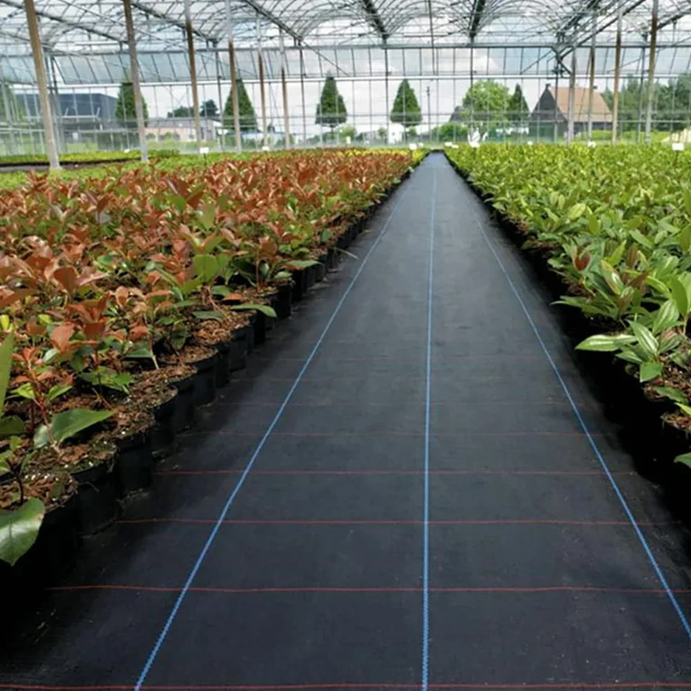 Agrowłóknina/Agrotkanina wiosenna ściółkująca na chwasty czarna 70g/m2 0,8x50m John Green